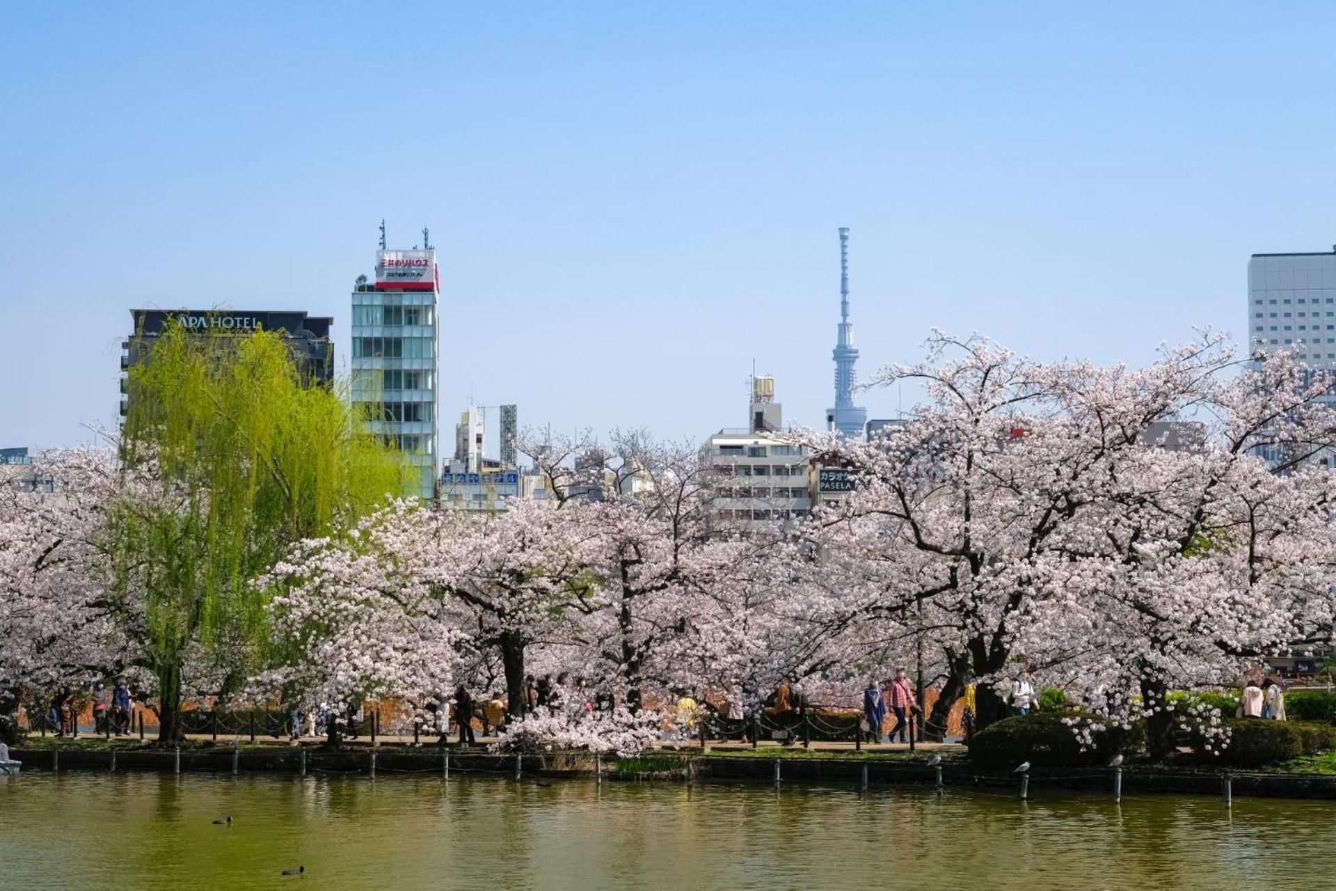 Stayme The Hotel Ueno Tokyo Bagian luar foto